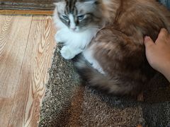 -白兔子密室(长寿路店)