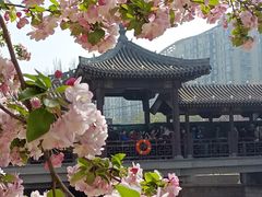 -元大都城垣遗址公园