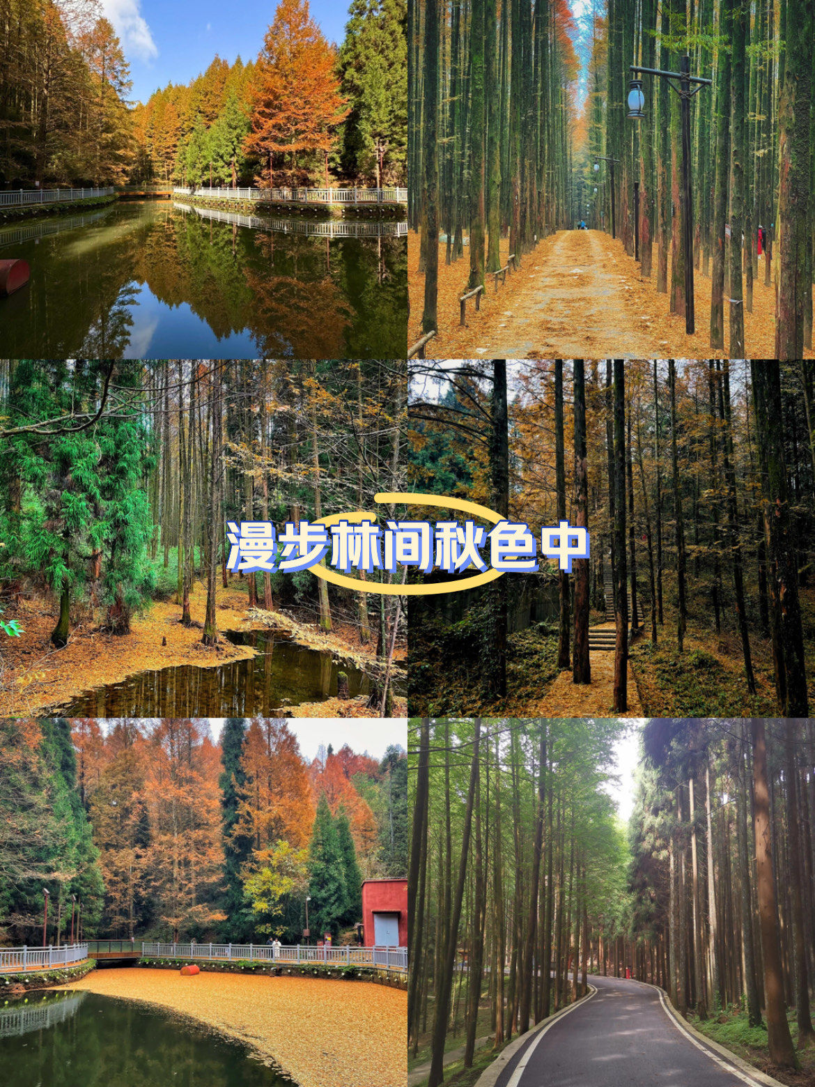 王山坪景区位于重庆市南川区山王坪镇境内.