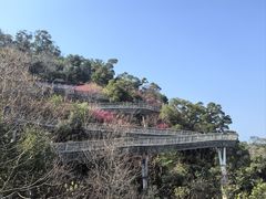 -福道