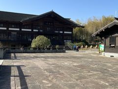 -大唐贡茶院
