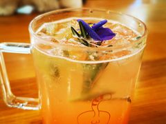 粉荔桃桃-猫小院猫主题餐厅(三里屯店)