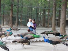 -南京金牛湖风景区