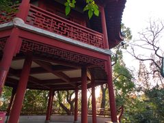 -汇龙潭