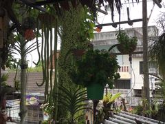-自然餐厅(Phuket)