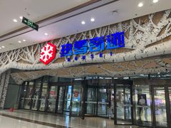 -哈尔滨热雪奇迹