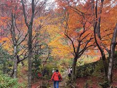-常寂光寺