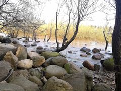 -上海吴淞炮台湾国家湿地公园