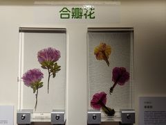 -中国湿地博物馆