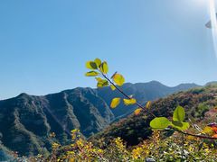 -周口店坡峰岭风景区