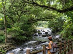 -广州市石门国家森林公园