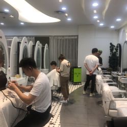 点击看大图 -艺之剪