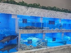 -香山湖渔家大院