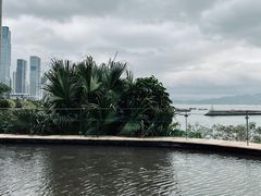 -希尔顿南海酒店·观廊大堂吧·海景下午茶