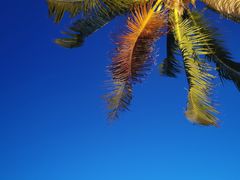 -御华麟·港奶·港包·港咖(解放路第二市场店)