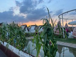 -小蜜蜂农场(凯德七宝购物广场店)