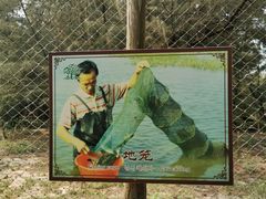 -北海金海湾红树林生态旅游区