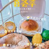 "芋泥"一起，不负chun光不负爱🫣