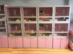 -藦茜花园宠物主题亲子互动体验馆(国顺东路店)