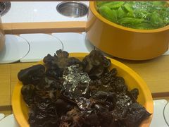 -龍歌自助小火锅(崂山丽达店)