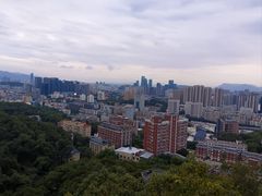 -福道