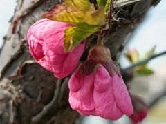 -永定河休闲森林公园
