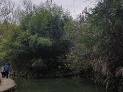 -天河潭旅游度假区