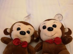 -金石国际大酒店·金丽自助餐厅