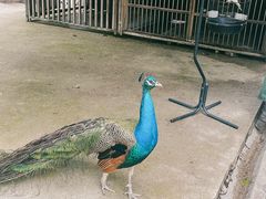 -天目湖涵田度假村