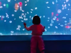 -太平洋海底世界