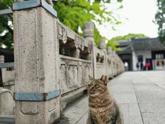 -西园戒幢律寺