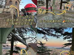 -信号山公园