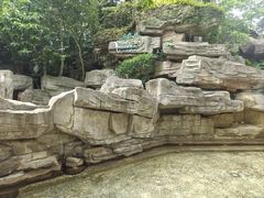 -海口观澜湖火山温泉谷