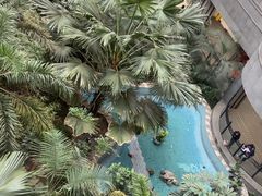 -黑龙江中医药大学附属第一医院