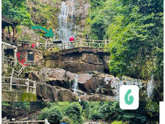 -鼎湖山风景区