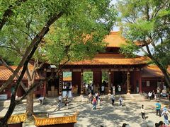 -深圳仙湖植物园