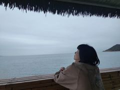 -汕尾风车岛