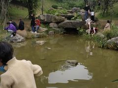 -飞凤山奥体公园