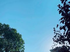 -三江森林温泉度假区