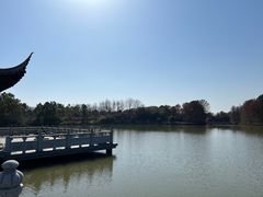 -上海海湾国家森林公园