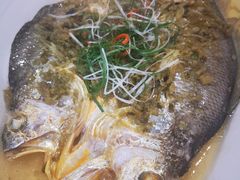 大黄鱼-麟1929(外滩店)