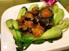 -燕风楼烤鸭店(建设总店)