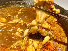 -老天桥蛙炉火锅(姑苏总店)