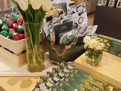 -春晖园度假酒店温泉