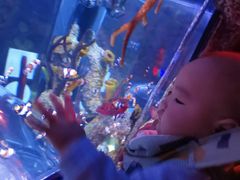 -沈阳海洋探索中心