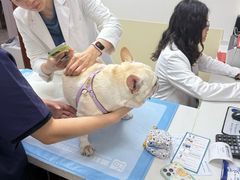 -美联众合动物医院·24h转诊中心