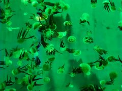 -石林冰雪海洋世界