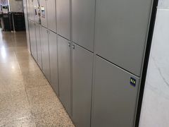 -南越王博物院