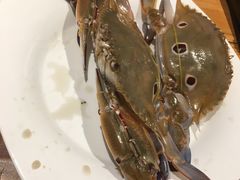 -蒙肥羊·酸汤潮牛·鲜牛肉火锅烤肉自助(岗顶店)