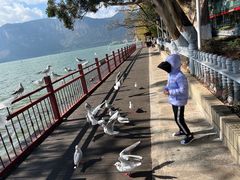 -滇池海埂公园